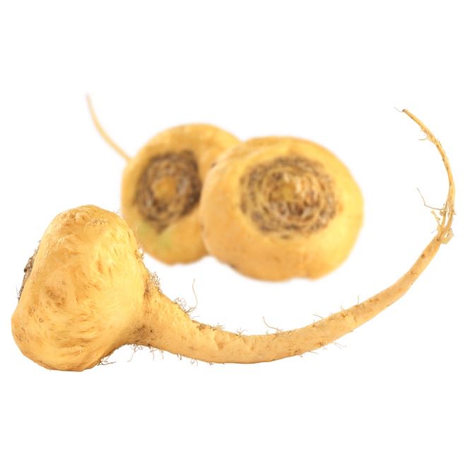 maca-yellow-square