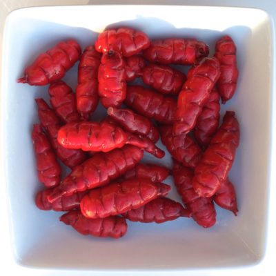 Tubers of the oca (Oxalis tuberosa) variety 'Blood Red'