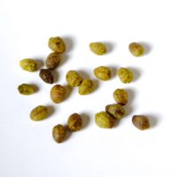 Close up of mauka seeds
