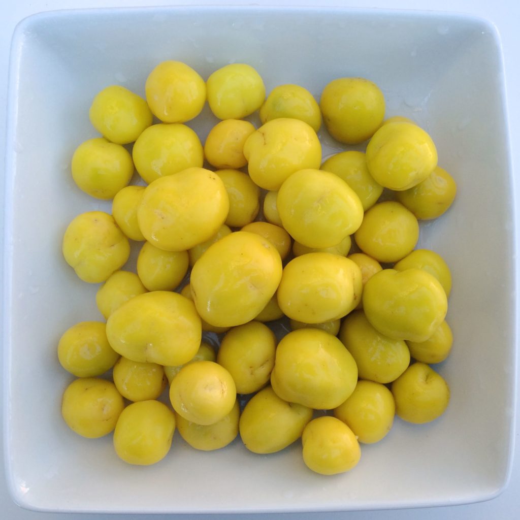 ulluco-Round_Yellow-tuber-exterior-square