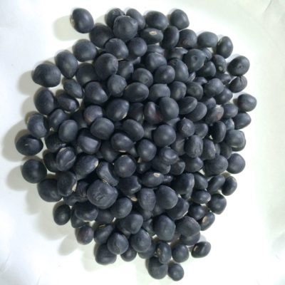 Ahipa (Pachyrhizus ahipa) 'Tarija' seeds