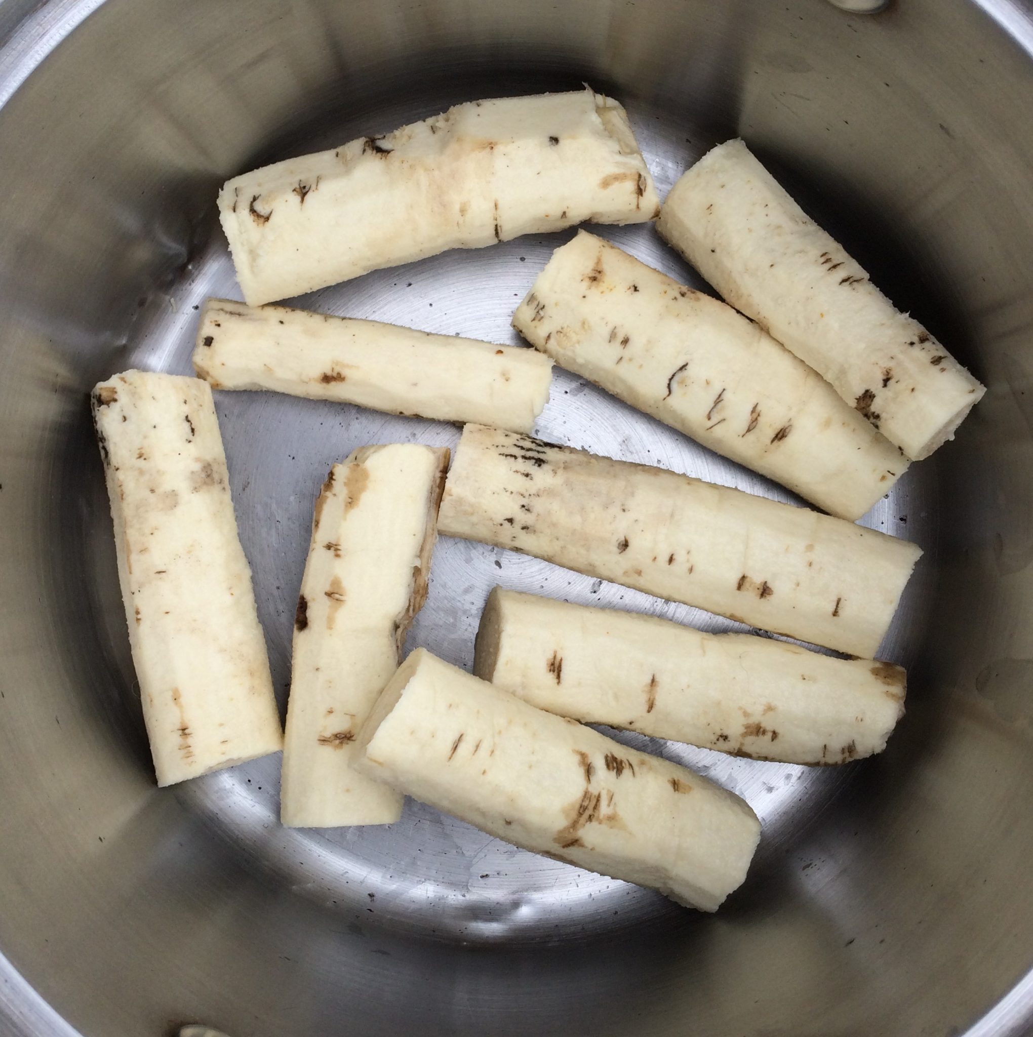 Sea Kale As a Root Vegetable Cultivariable