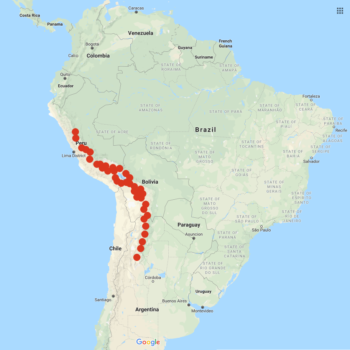 Solanum acaule distribution map