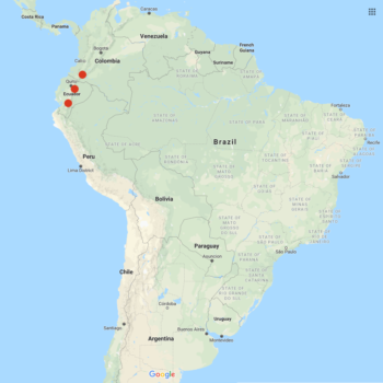 Solanum andreanum distribution map