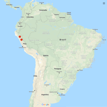 Solanum blanco-galdosii distribution map