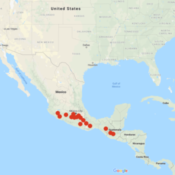 Solanum bulbocastanum distribution map