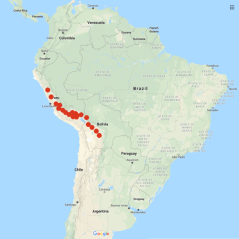 Solanum candolleanum distribution map