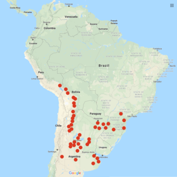 Solanum chacoense distribution map