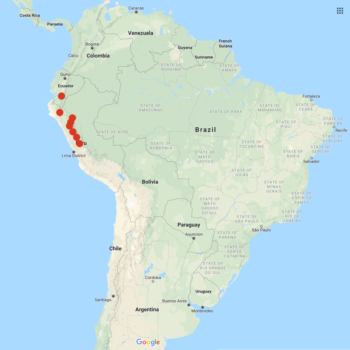 Solanum chomatophilum distribution map