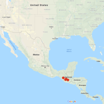 Solanum clarum distribution map