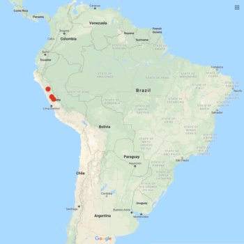 Solanum dolichocremastrum distribution map