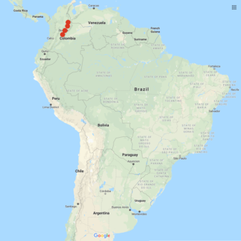 Solanum flahaultii distribution map