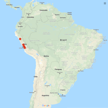 Solanum immite distribution map