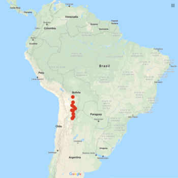 Solanum infundibuliforme distribution map