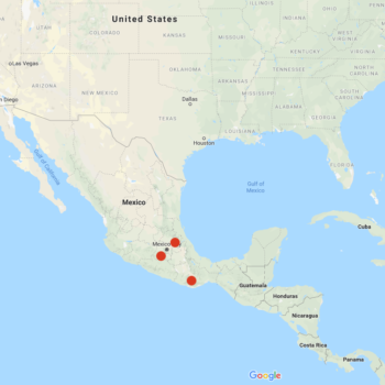 Solanum iopetalum distribution map