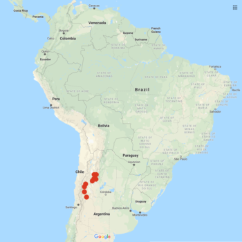 Solanum kurtzianum distribution map