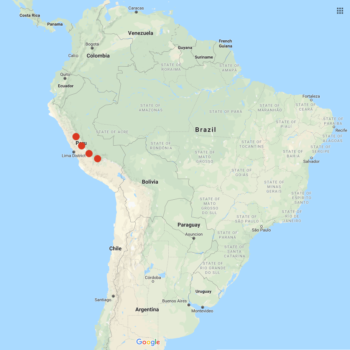 Solanum laxissimum distribution map