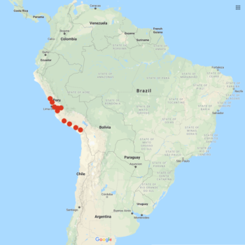 Solanum medians distribution map