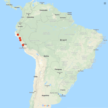 Solanum mochiquense distribution map