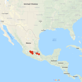 Solanum x edinense distribution map