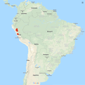 Solanum chiquidenum distribution map