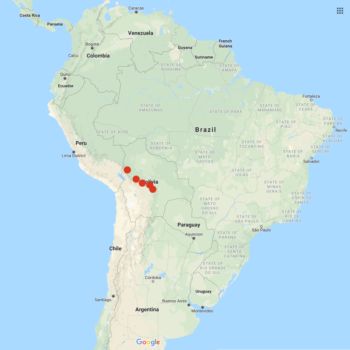 Solanum stipuloideum distribution map