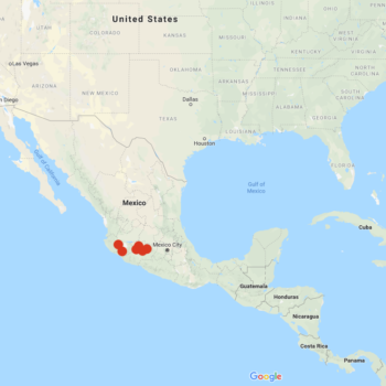 Solanum trifidum distribution map