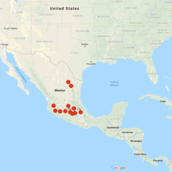 Solanum verrucosum distribution map