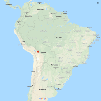 Solanum violaceimarmoratum distribution map