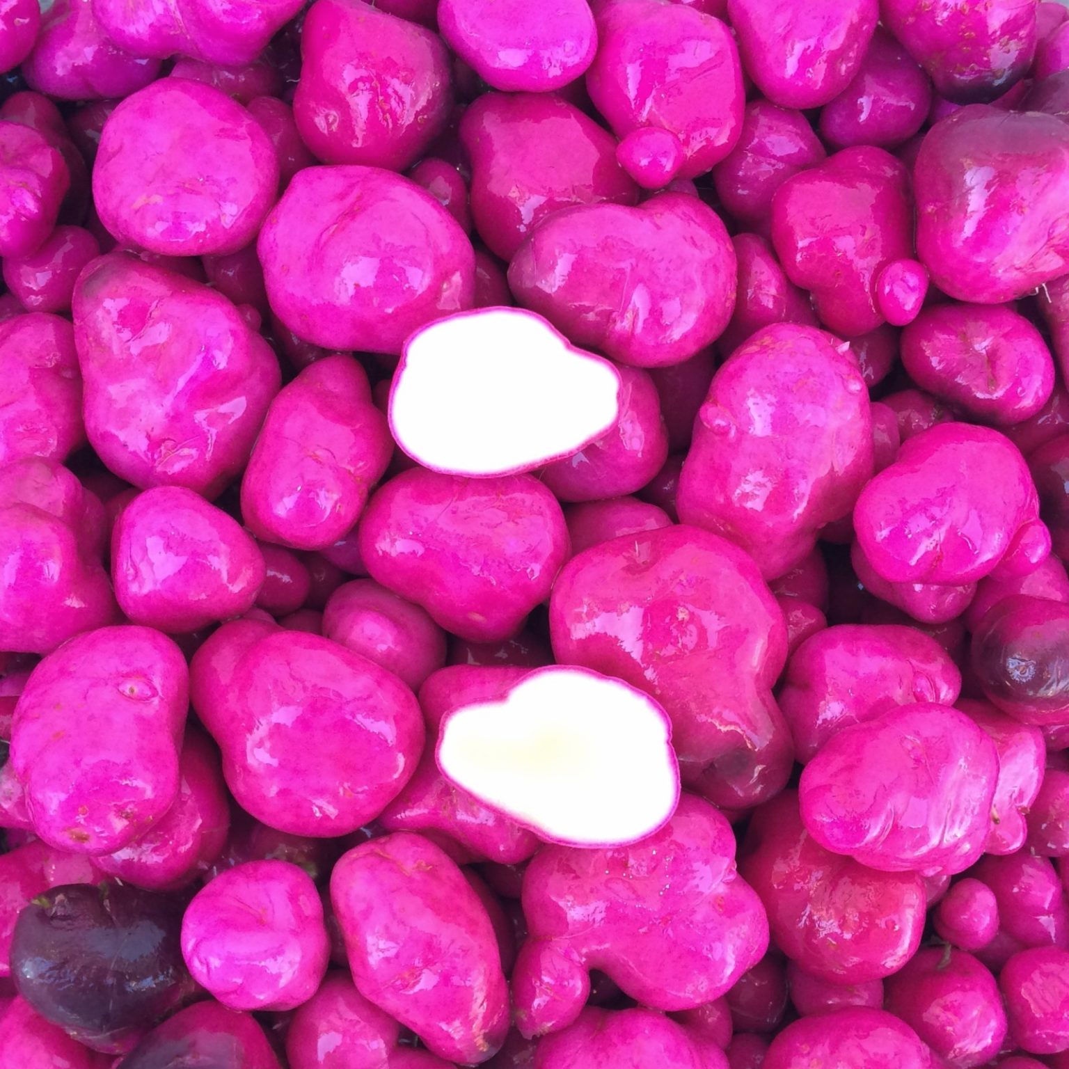 Tubers of the Cultivariable original ulluco (Ullucus tuberosus) variety 'Moclips'