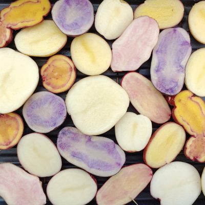 Mixed tetraploid potatoes flesh colors