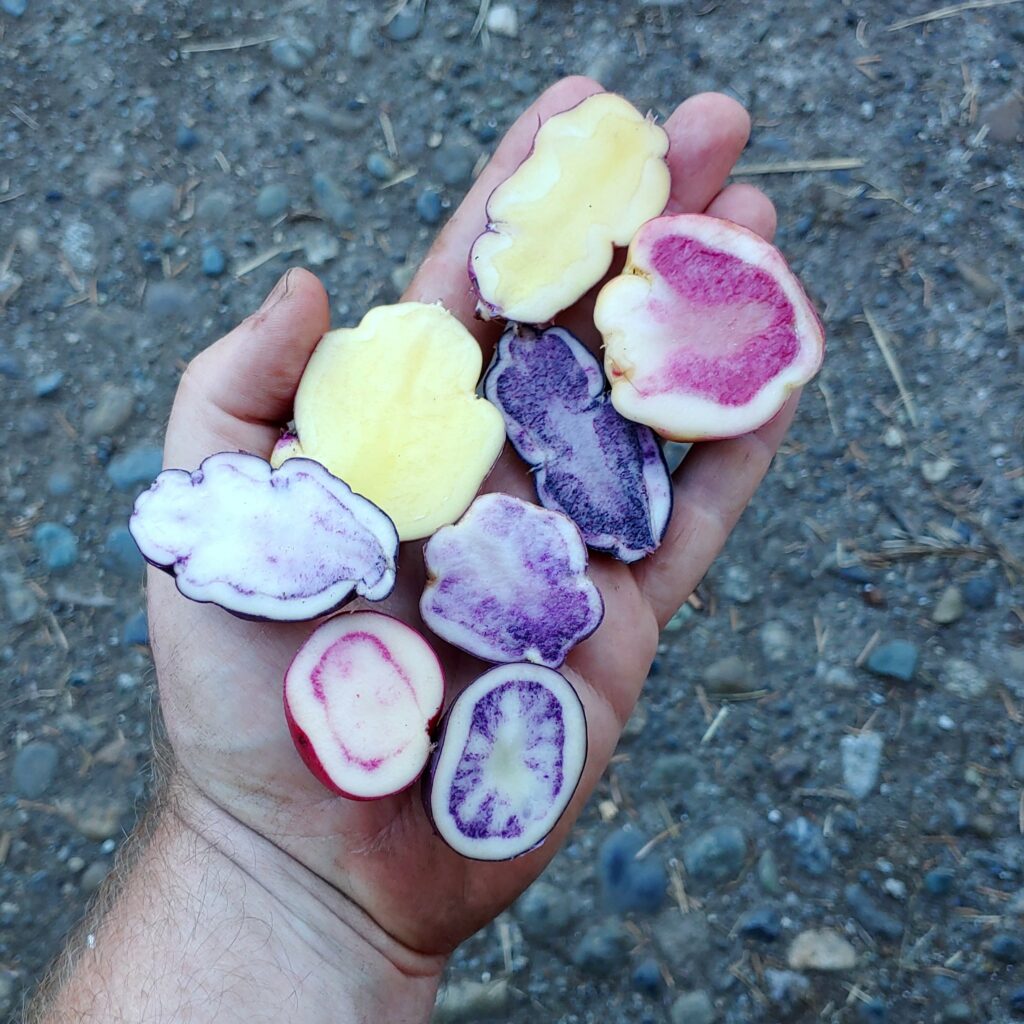 Cultivariable