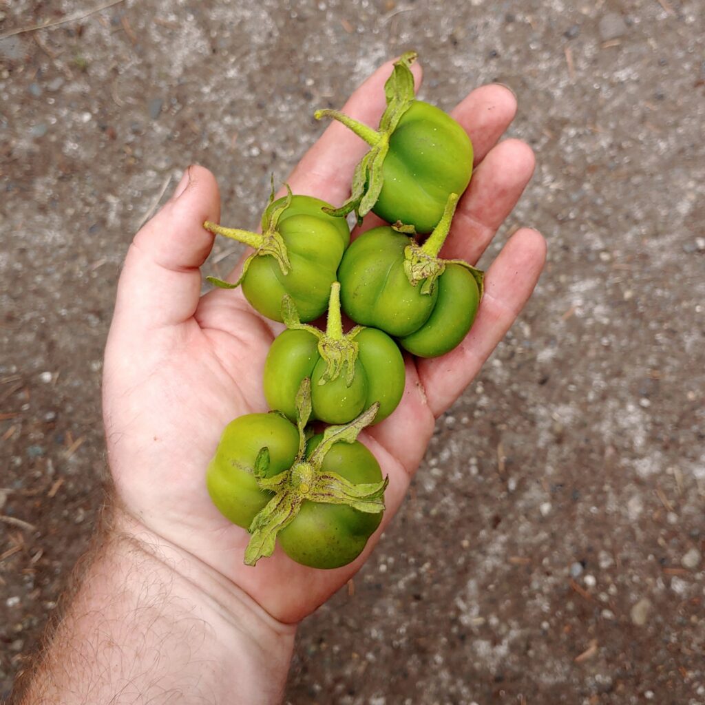 Cultivariable