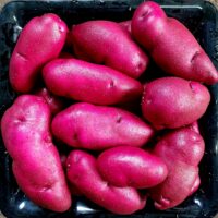 Tubers of the Cultivariable original potato variety 'Loowit'
