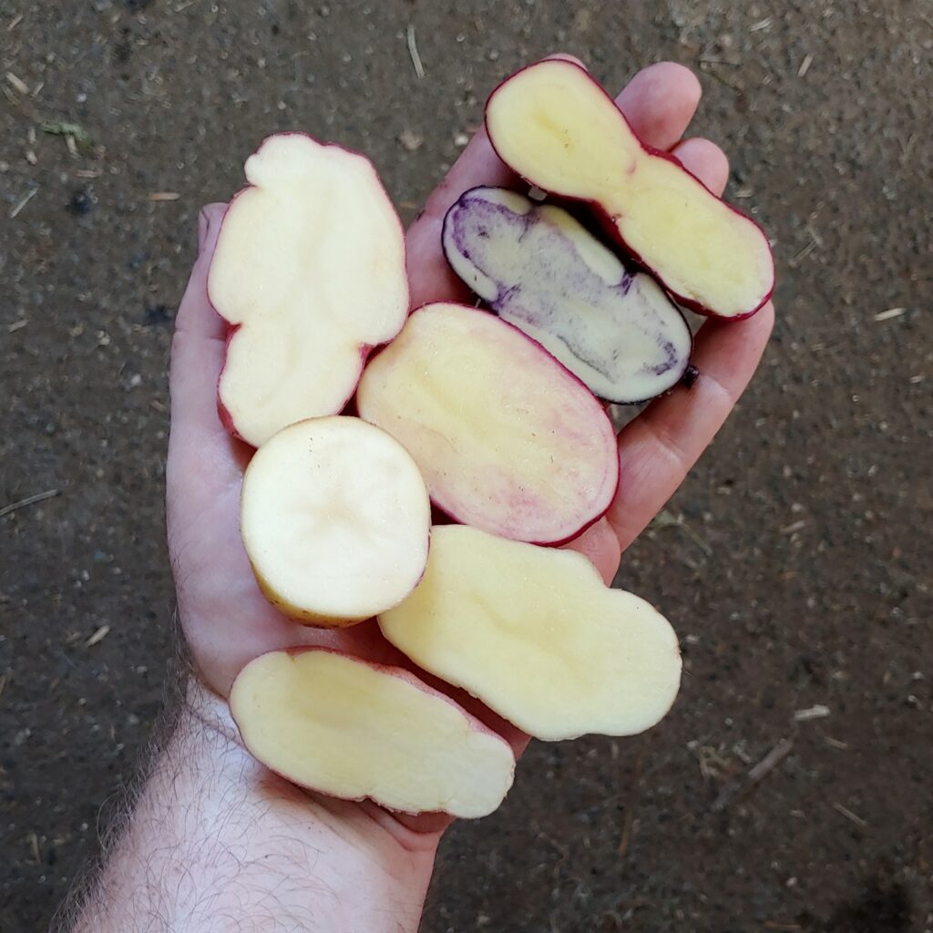 Cultivariable