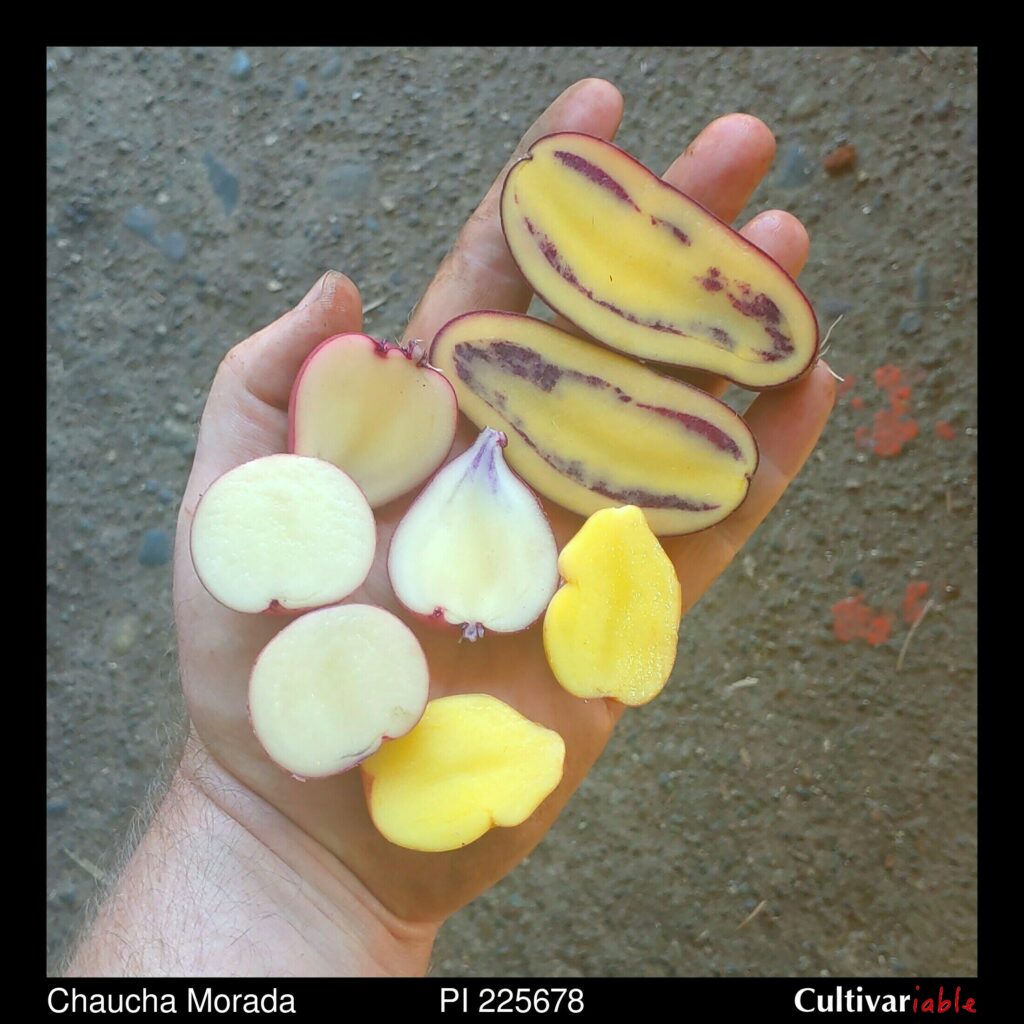 Cultivariable