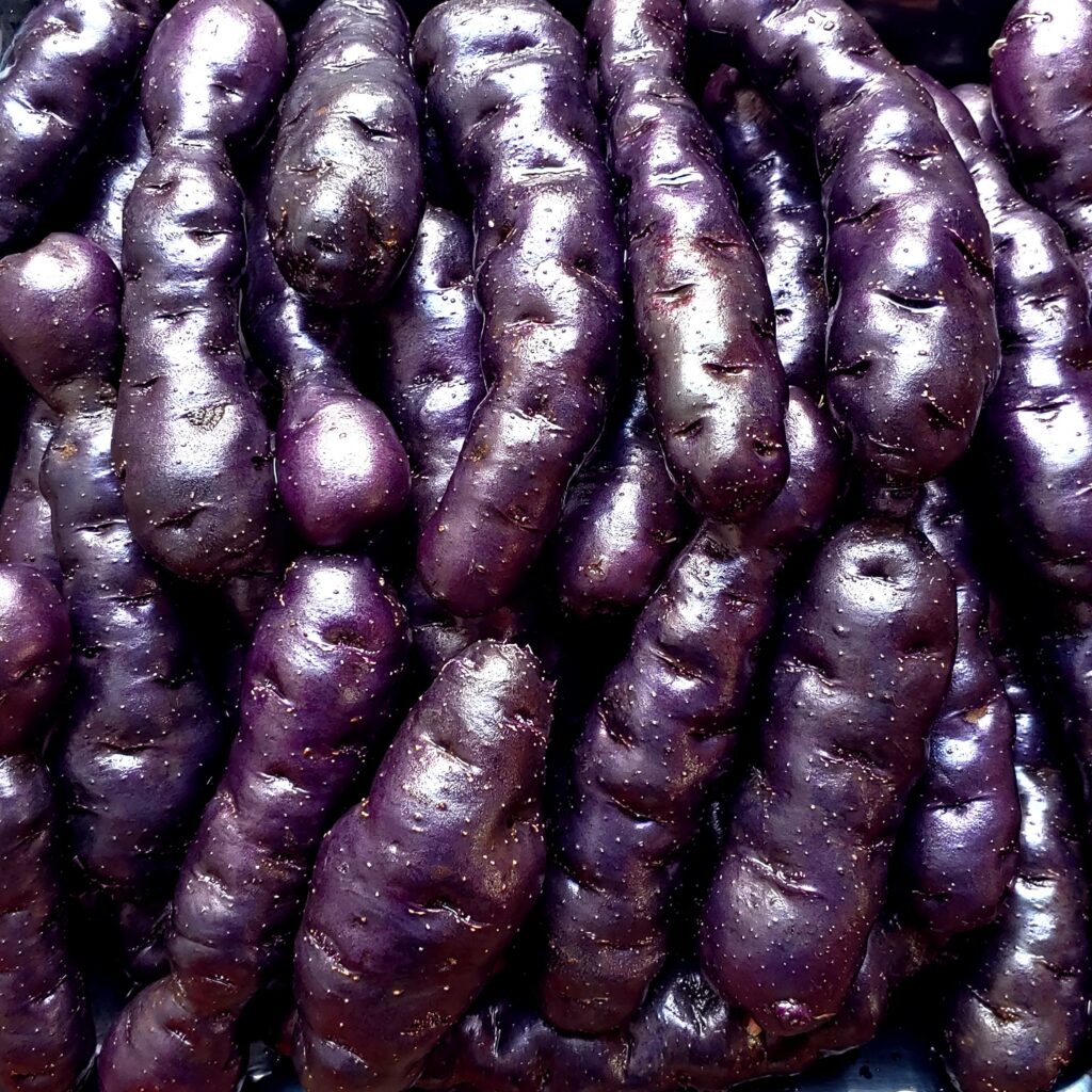 Cultivariable