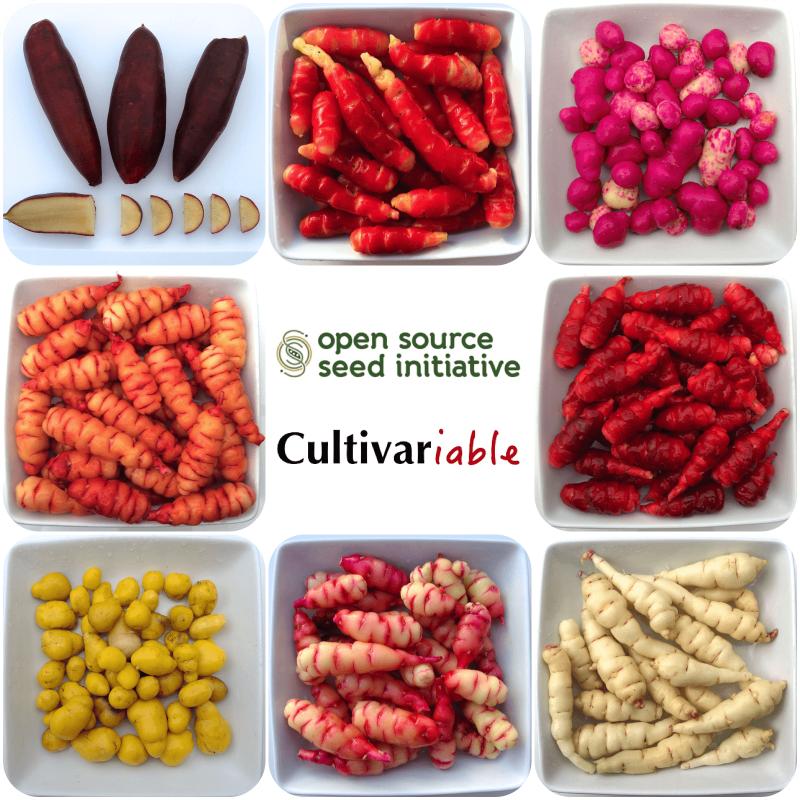 Cultivariable