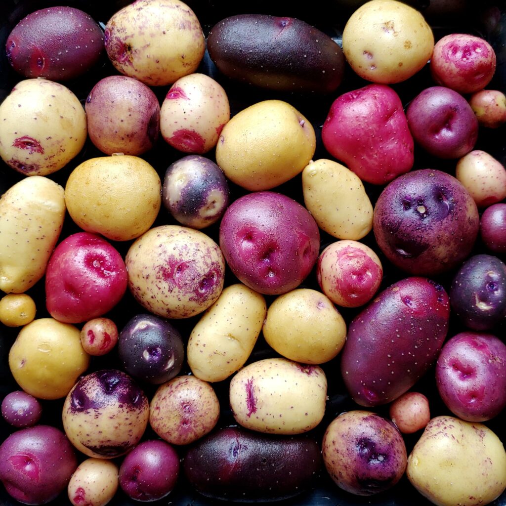 Cultivariable