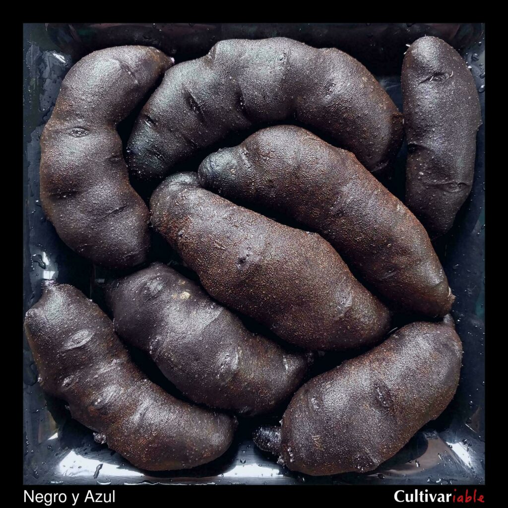 Cultivariable