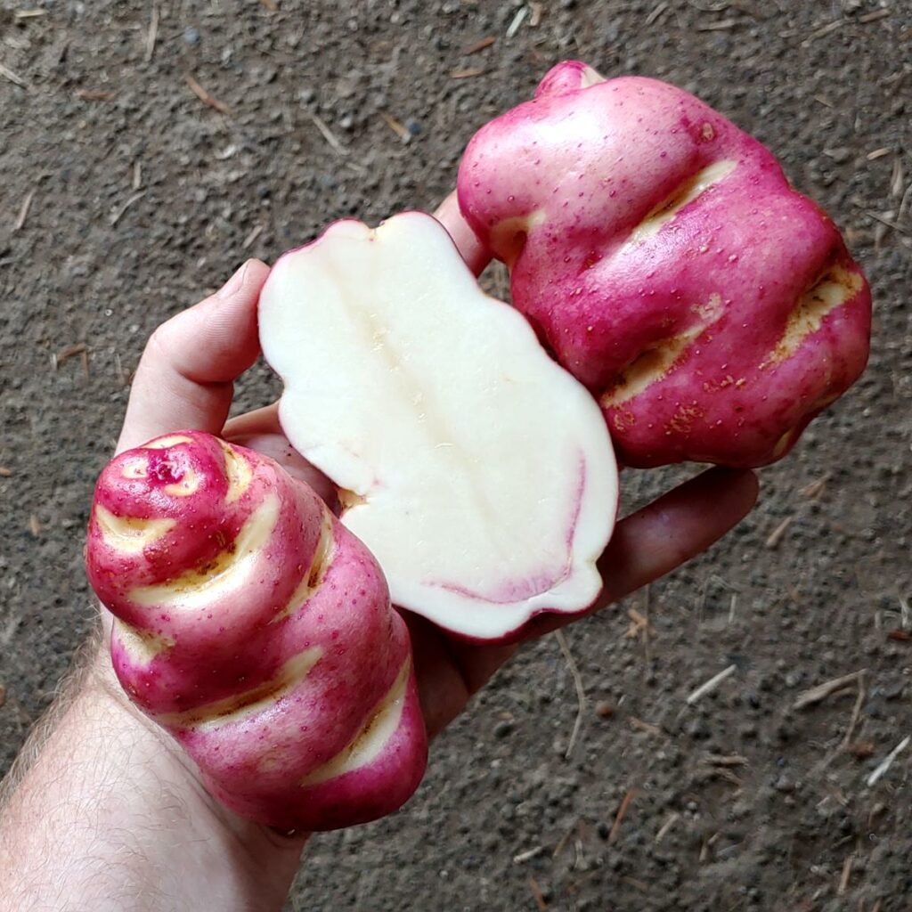 Cultivariable