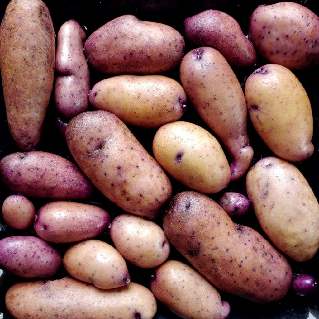 Cultivariable