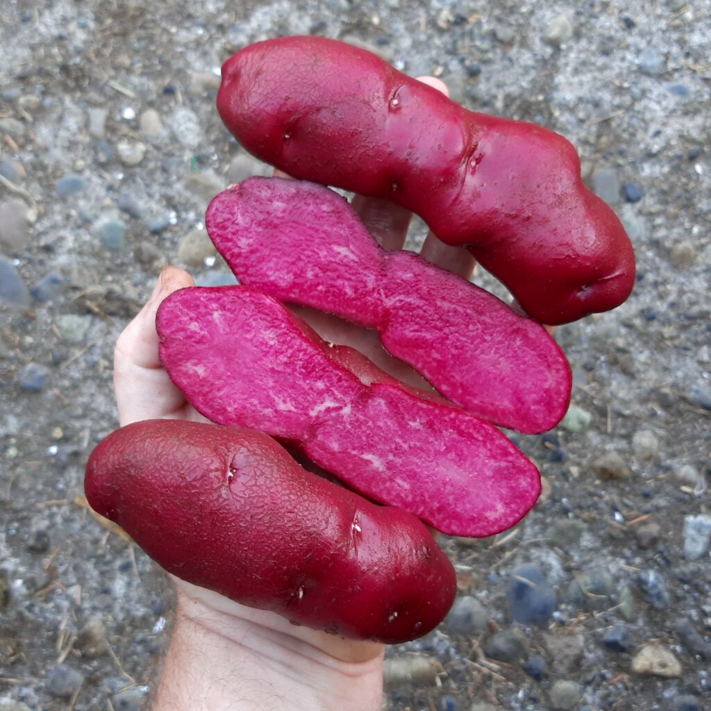 Cultivariable