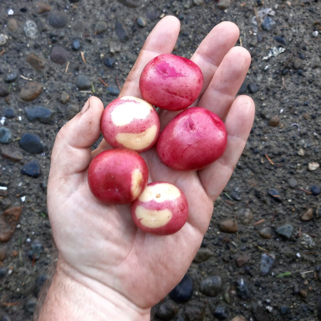 Cultivariable