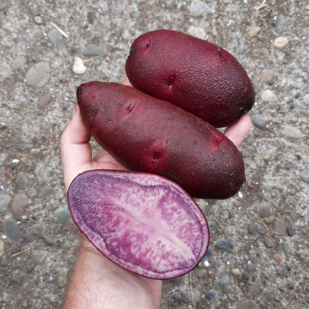 Cultivariable
