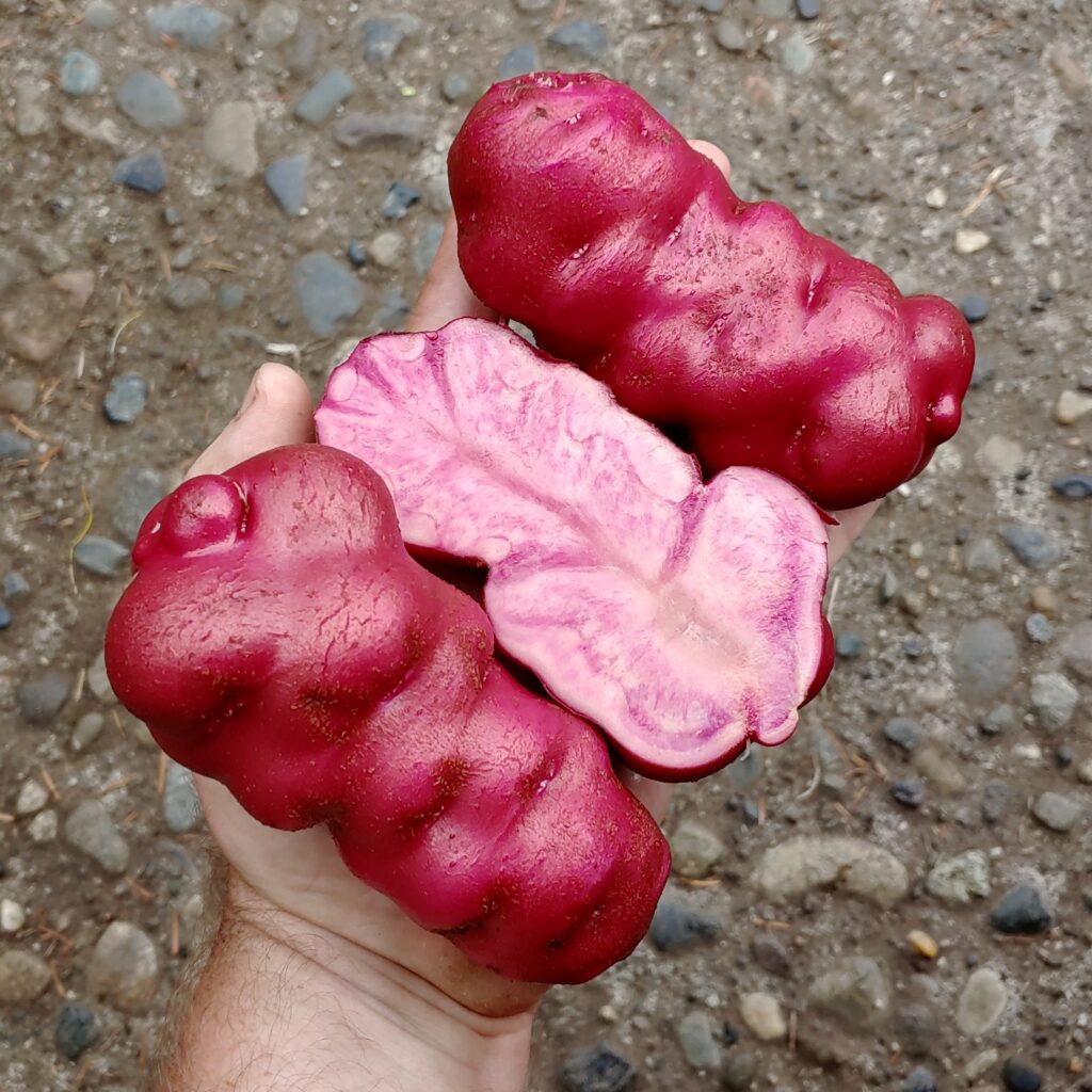 Cultivariable